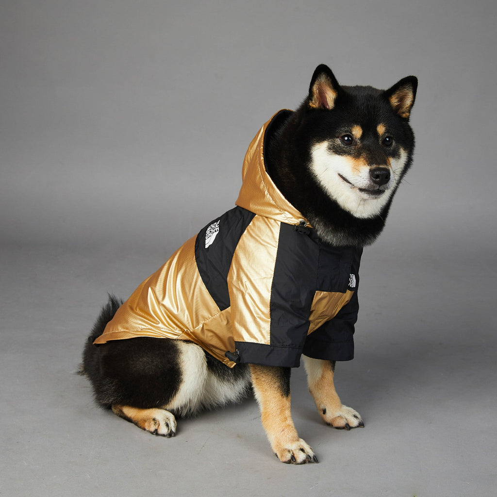 {{product_title}} - Cookies Wagging Friends Boutique
