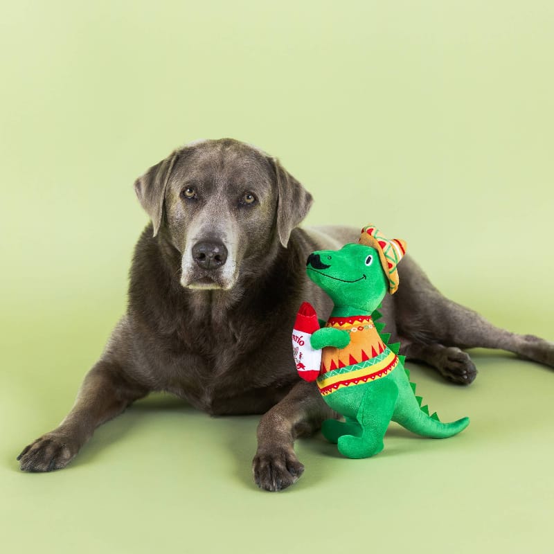{{product_title}} - Cookies Wagging Friends Boutique