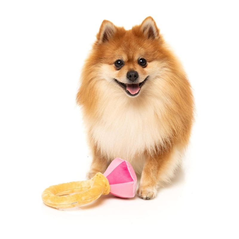 {{product_title}} - Cookies Wagging Friends Boutique