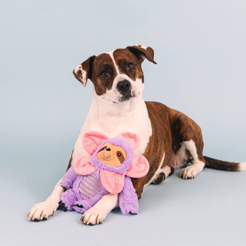 {{product_title}} - Cookies Wagging Friends Boutique