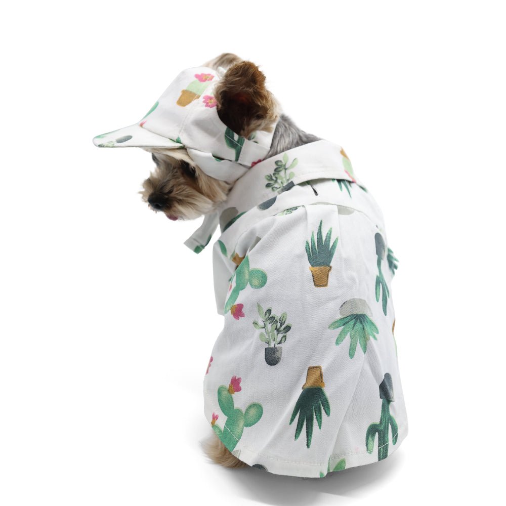 White dog shirt on small dog from back, green cactus print, short sleeves and collar.
