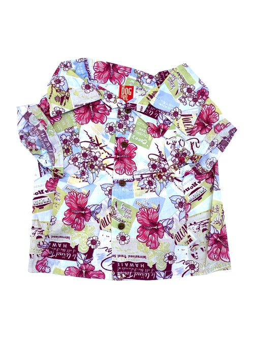 Short-sleeve camp shirt with multicolor floral postcard print and button front