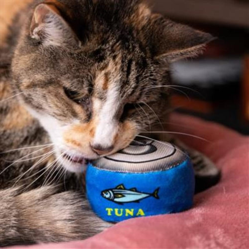 Plush tuna-can cat toy with fish graphic, used by a gray tabby cat