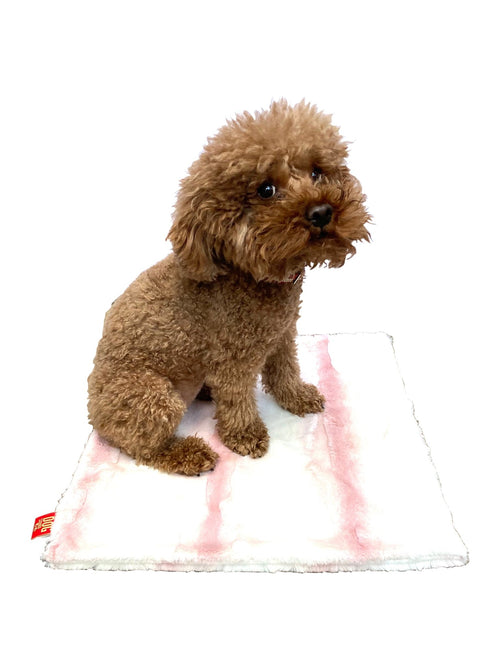 Carrier Square Blanket, Angora Ombre in Rosewater Fursace Luxury Dog Plush Toy - Square (16.5''x 16.5'') Red Squeaky | Cookies Wagging Friends Boutique Cookies Wagging Friends Boutique