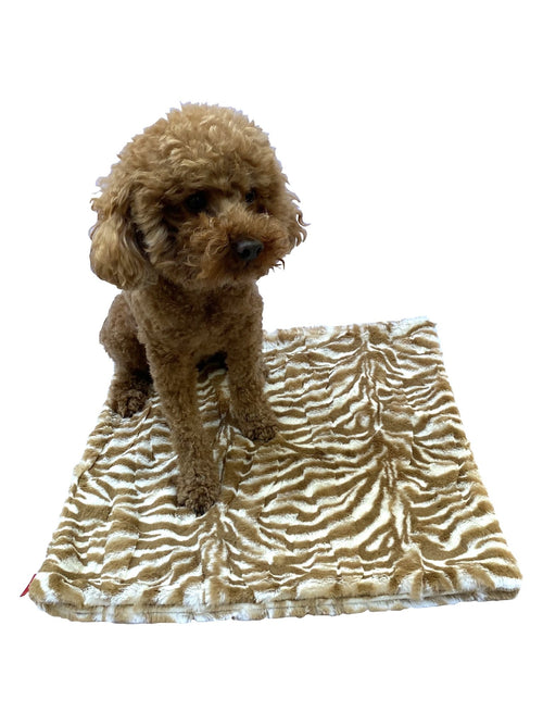 Zebra print square pet blanket with fuzzy tan border, laid for a small dog