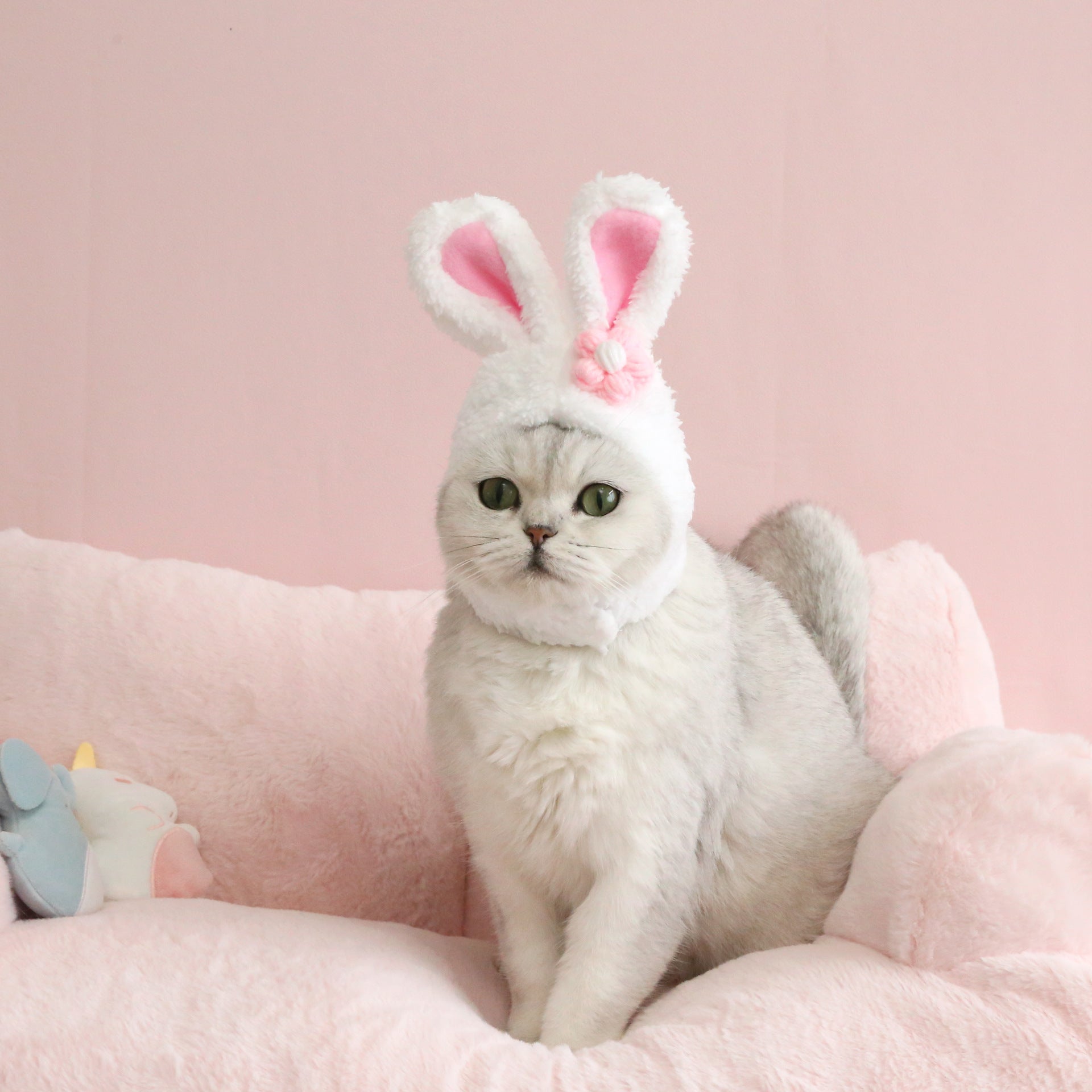 White plush bunny-eared Easter hat with pink flower bow, on a sitting cat