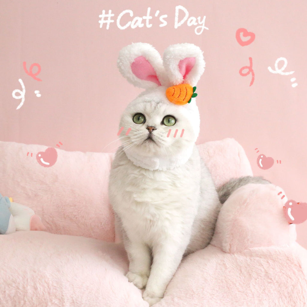 White bunny-eared plush Easter hat with carrot patch on a cat, front view