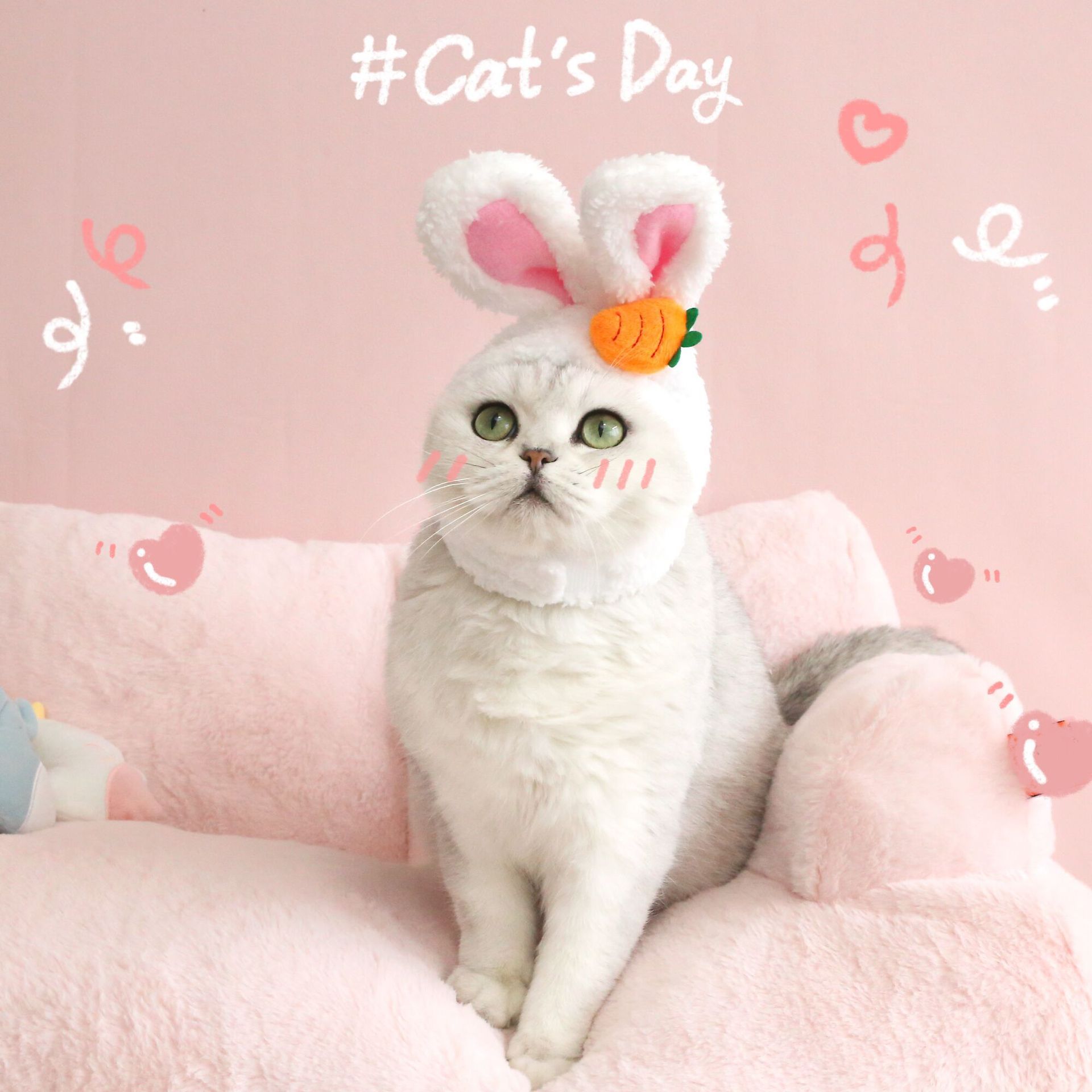 White bunny-eared plush Easter hat with carrot patch on a cat, front view