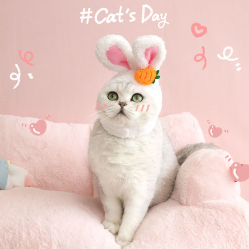 White bunny-eared plush Easter hat with carrot patch on a cat, front view