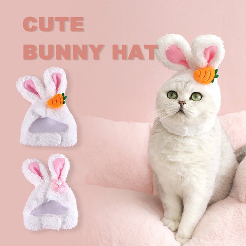 White plush bunny-eared Easter hat with carrot patch, on a cat wearing it