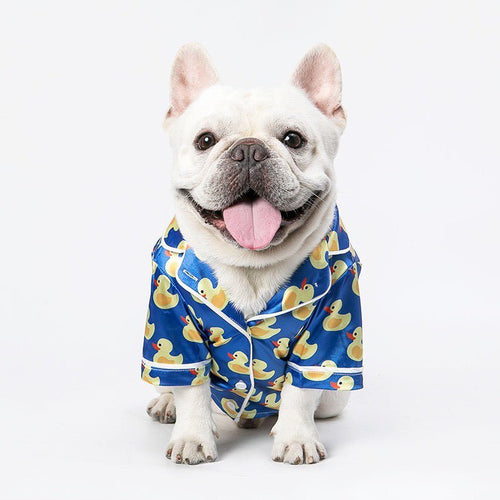 French bulldog wearing blue duck-print button-front pet shirt with short sleeves