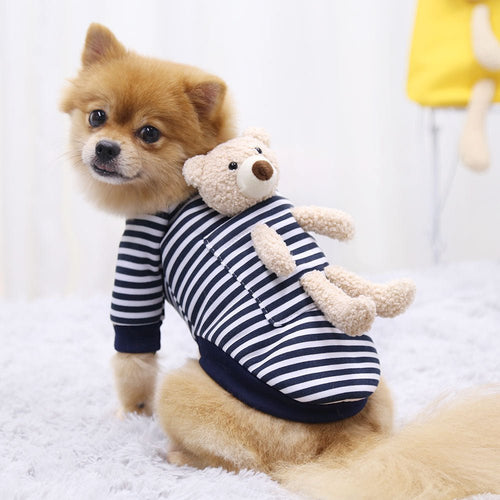 Striped pet sweater with teddy bear appliqué on a small dog