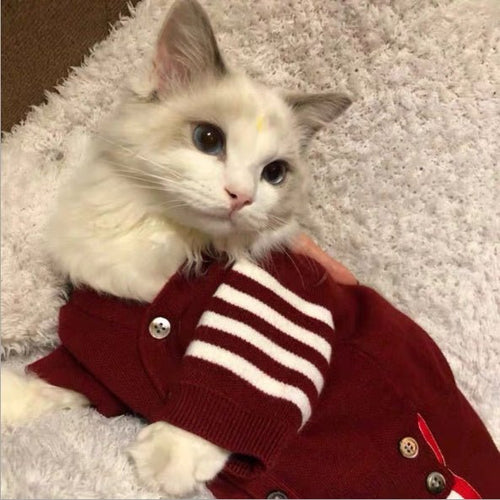 Burgundy cat sweater with button front and white striped pocket detail