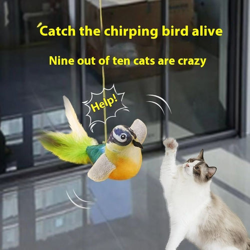 Cat hanging bird teaser toy with hanging plush finch and yellow rope