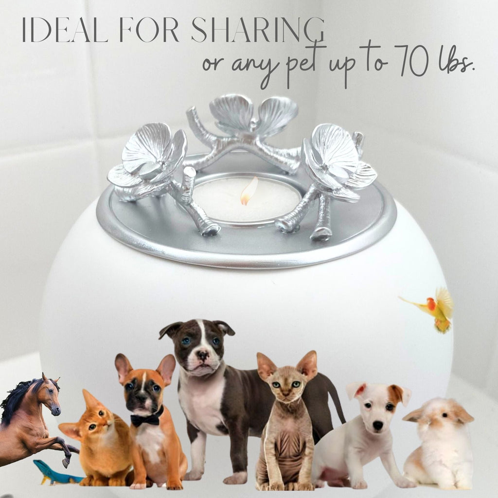 {{product_title}} - Cookies Wagging Friends Boutique