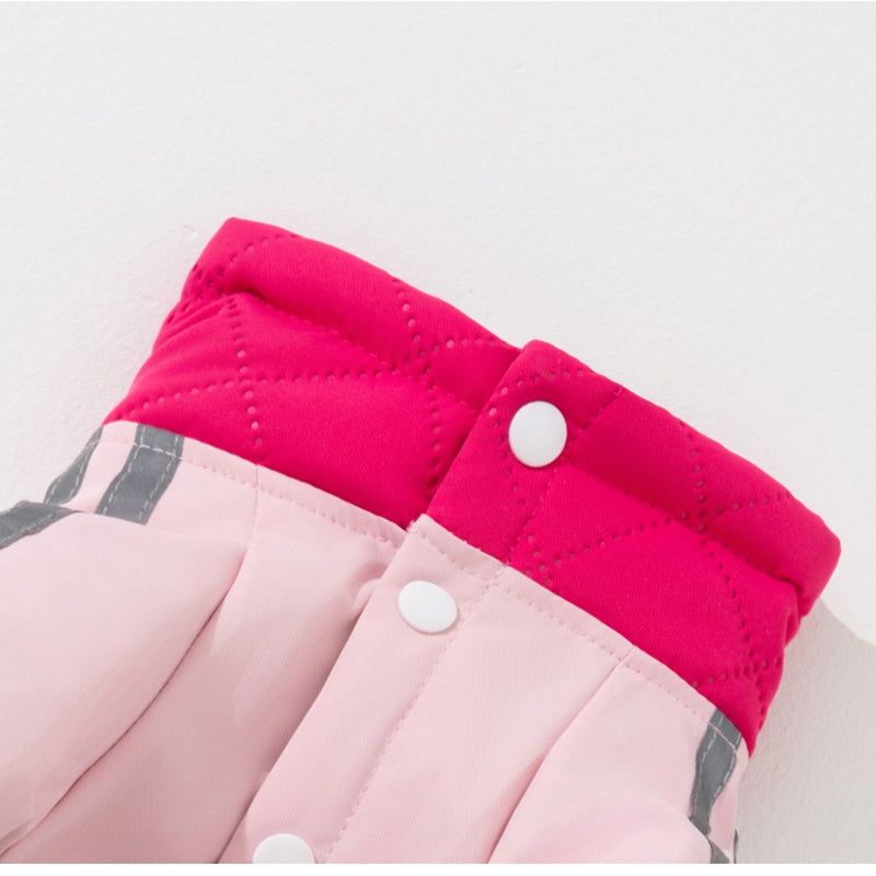 {{product_title}} - Cookies Wagging Friends Boutique