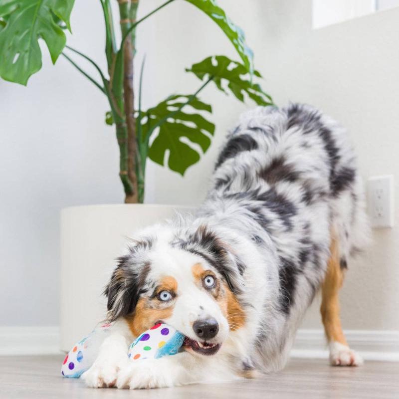 {{product_title}} - Cookies Wagging Friends Boutique