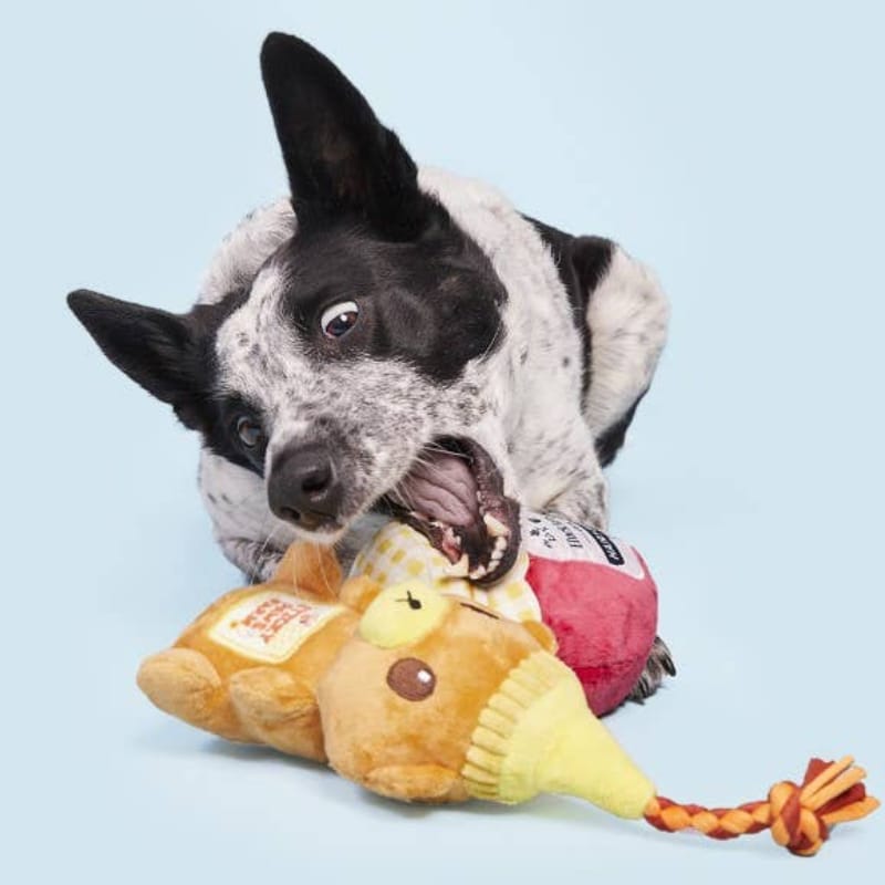 {{product_title}} - Cookies Wagging Friends Boutique
