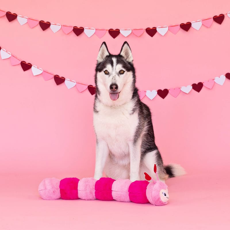{{product_title}} - Cookies Wagging Friends Boutique