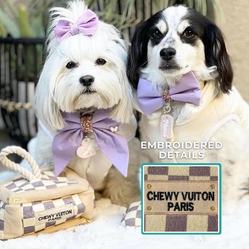 Checker plush dog activity trunk with embroidered “CHEWY VUITON PARIS” label