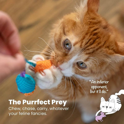 Plush cat mouse toy in blue with orange details, held by an orange tabby cat