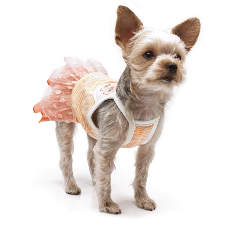 Orange and pale yellow pet dress with ruffled skirt and fruit slice appliques