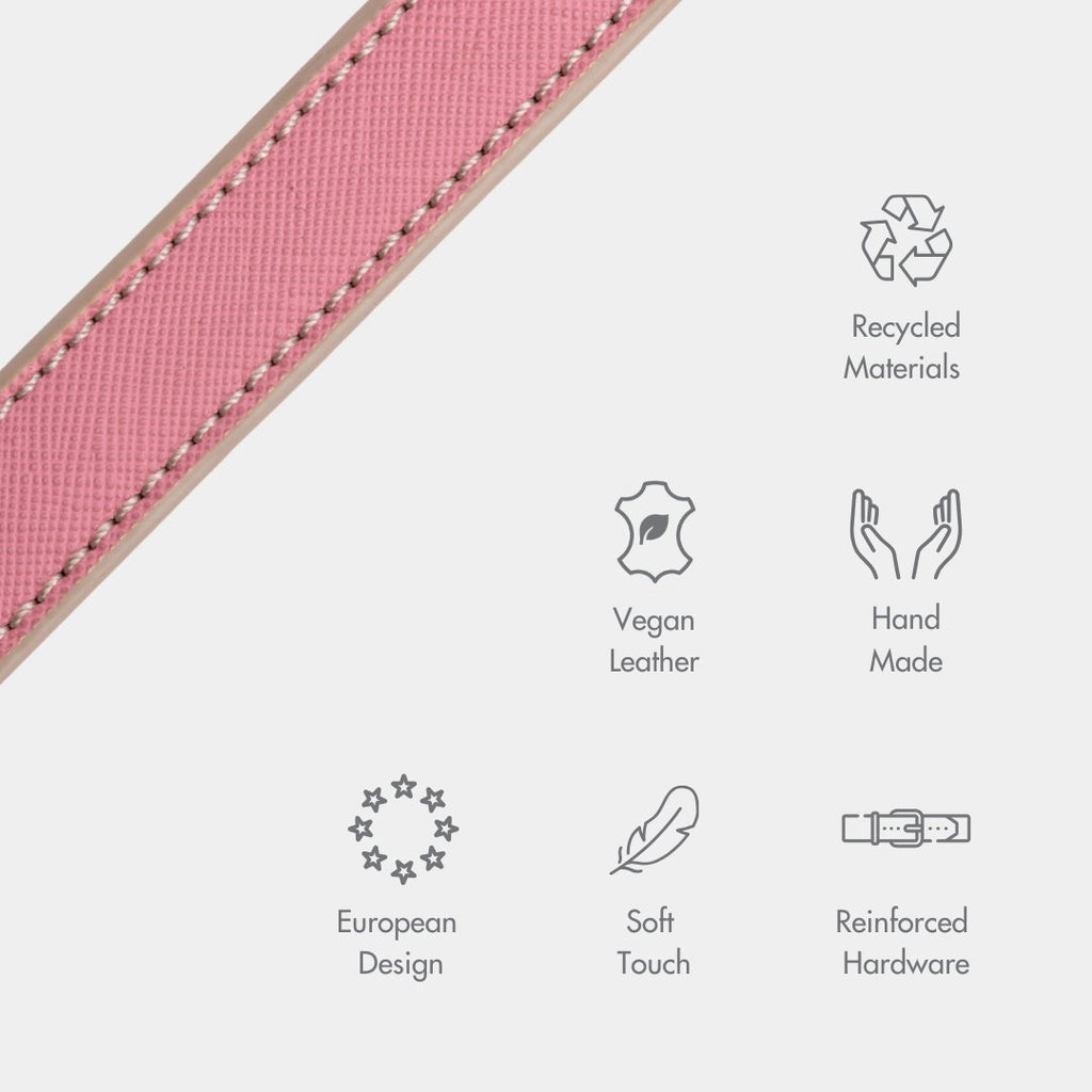 {{product_title}} - Cookies Wagging Friends Boutique
