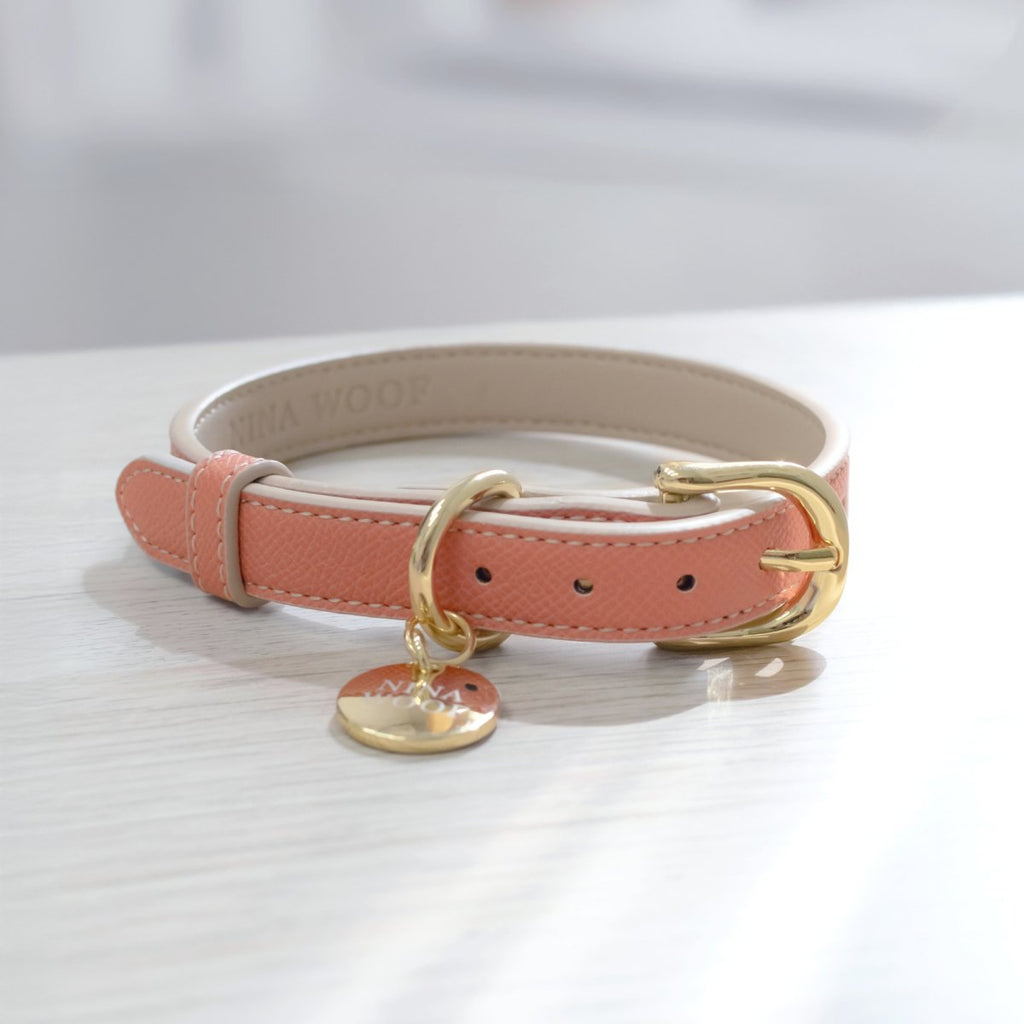 {{product_title}} - Cookies Wagging Friends Boutique