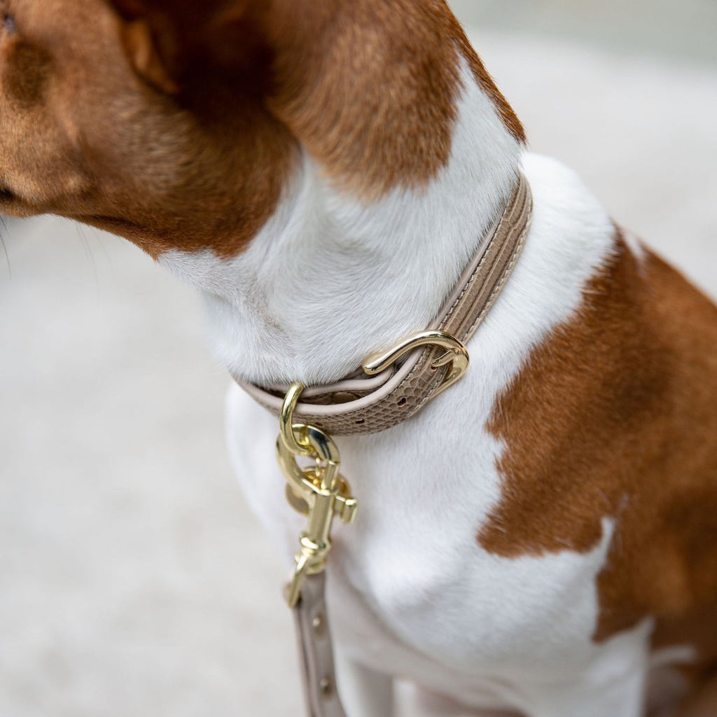 {{product_title}} - Cookies Wagging Friends Boutique