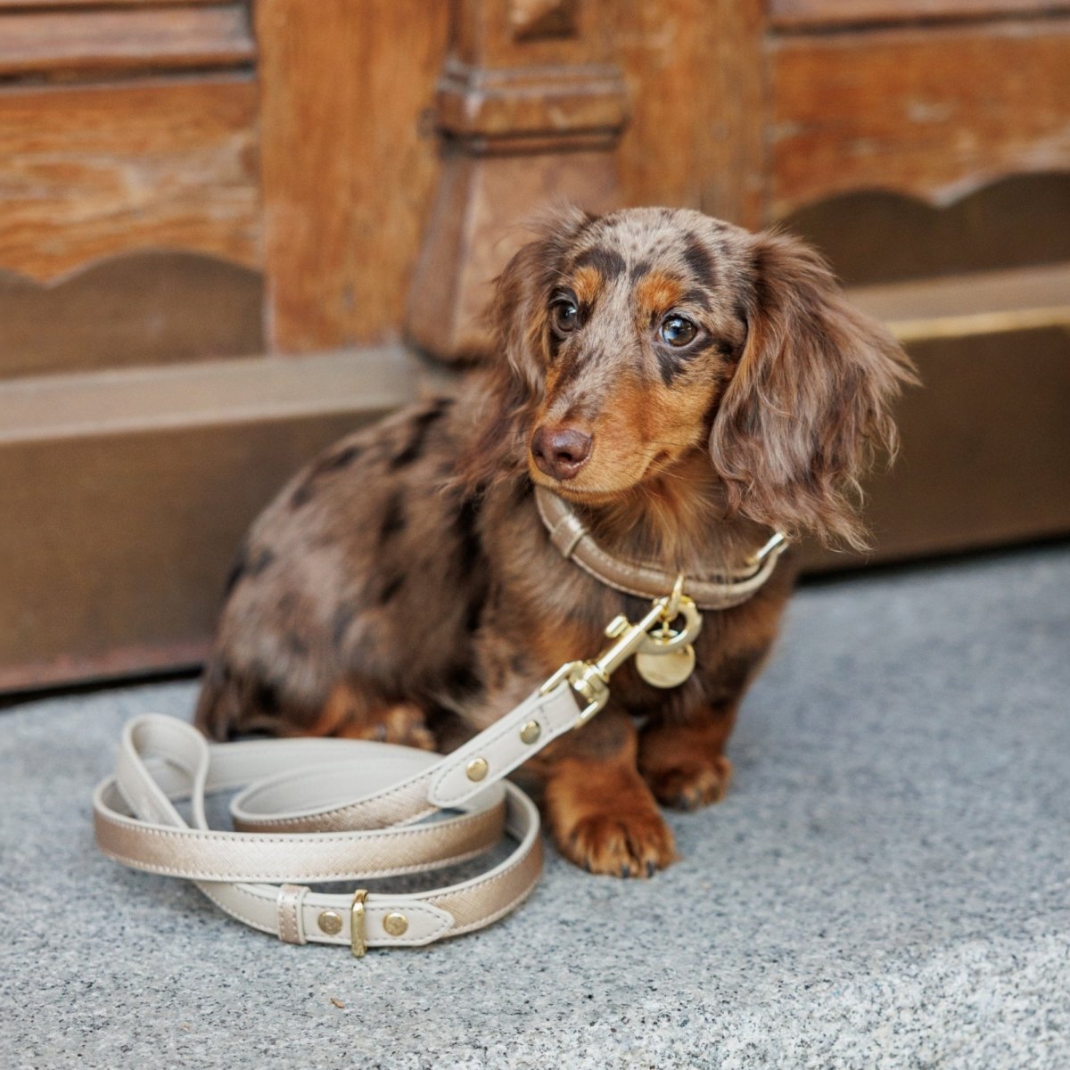 Eco-Friendly Vegan Leather Dog Collars - Stylish and Comfortable