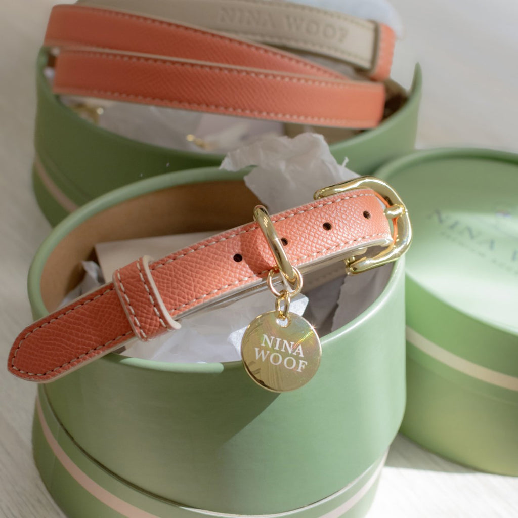 {{product_title}} - Cookies Wagging Friends Boutique