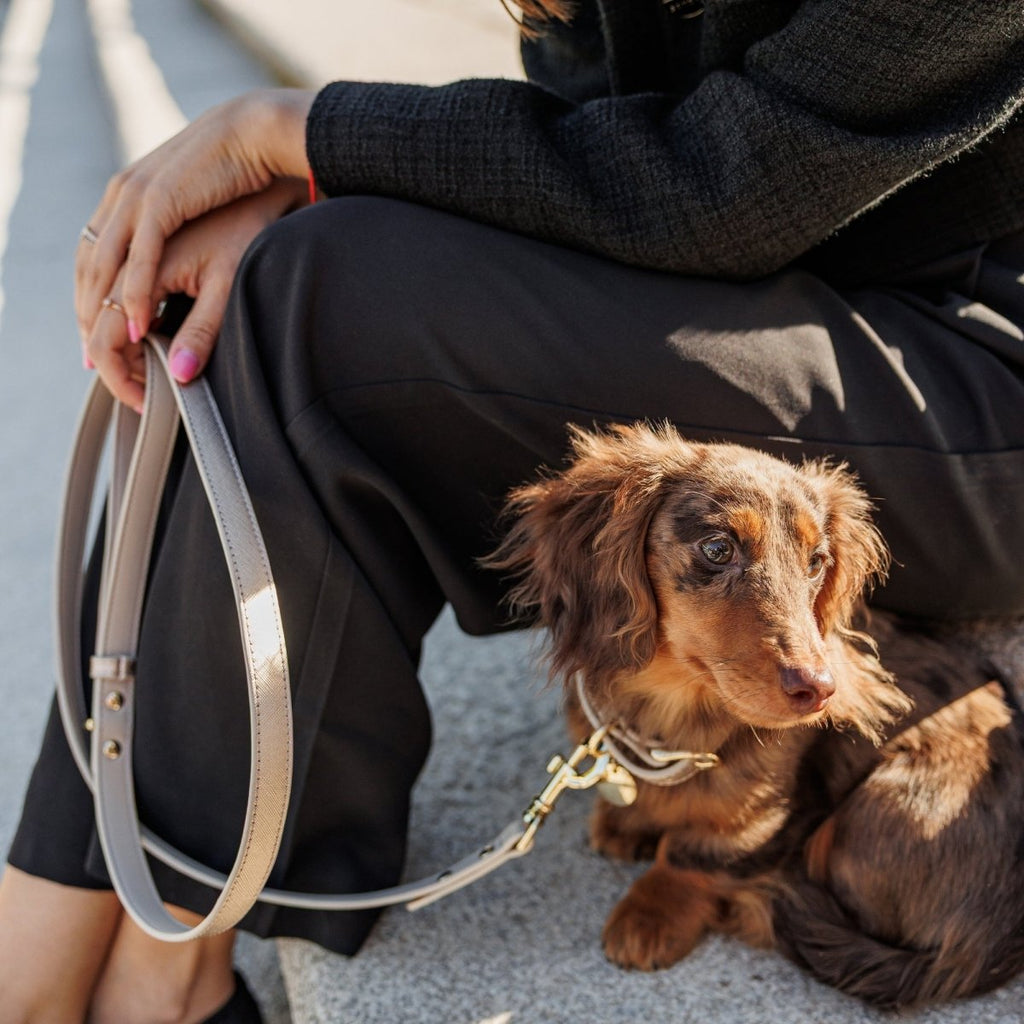 Eco-Friendly Vegan Leather Dog Collars - Stylish and Comfortable