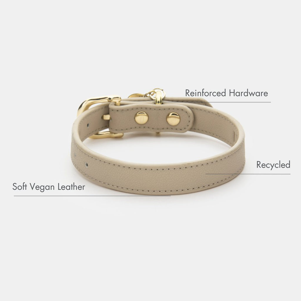 {{product_title}} - Cookies Wagging Friends Boutique