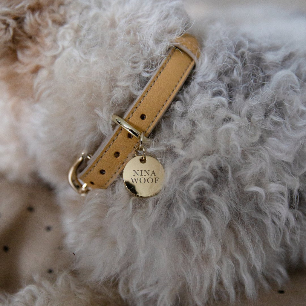 {{product_title}} - Cookies Wagging Friends Boutique