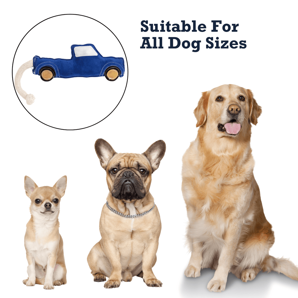 Blue pickup truck dog chew toy shown with dogs of different sizes