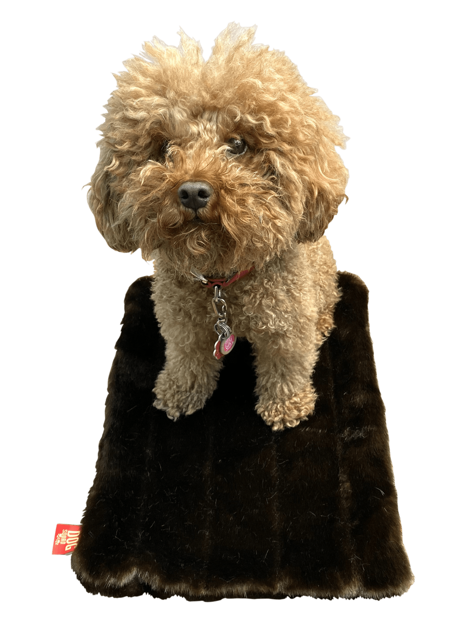 Dark brown faux mink crate liner, plush fur blanket with neck and arm openings