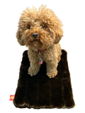 {{product_title}} - Cookies Wagging Friends Boutique