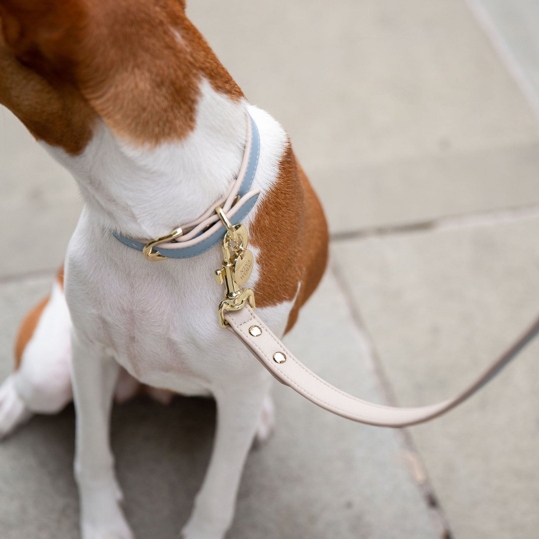{{product_title}} - Cookies Wagging Friends Boutique