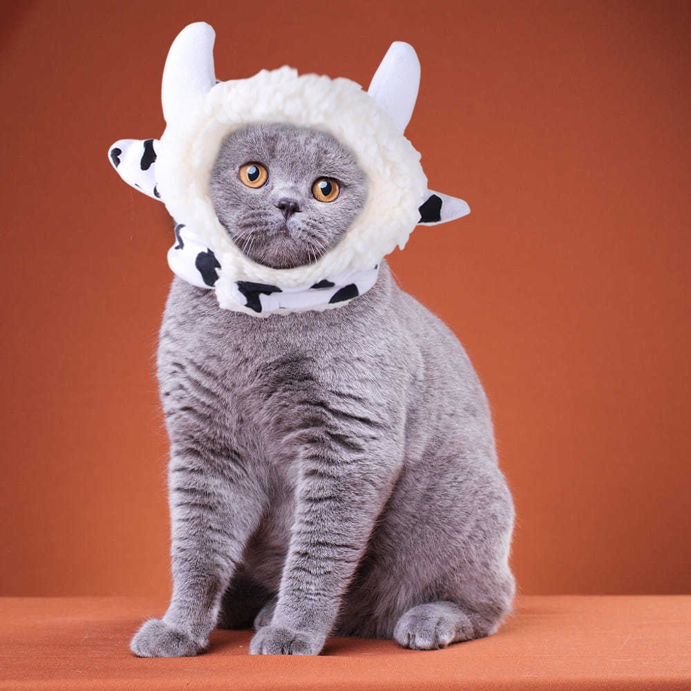 Cat costume hat, white plush with pointy ears and black spots around neck