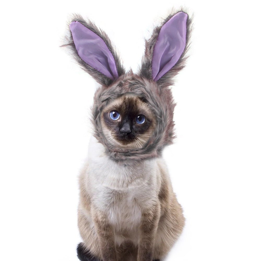 Pet bunny hat: fuzzy headpiece with tall purple ear covers and soft purple inner lining