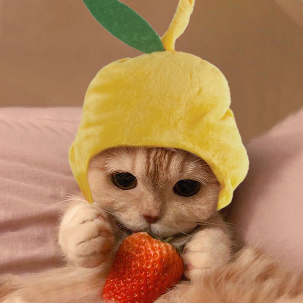 Yellow plush pet hat with bunny-ear hood and a green leaf topper