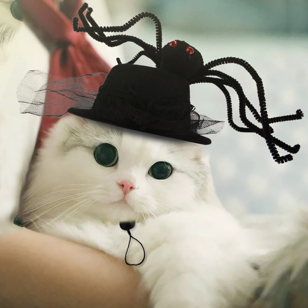 Black plush Halloween pet hat with spiderweb bow and red accent