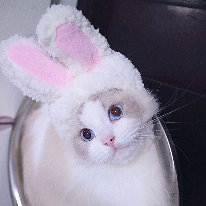 Cat rabbit hat, white plush hood with pink inner ears for pet