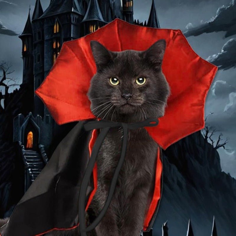 Vampire pet cloak with red bat-wing hood and black cape, red trim and tie