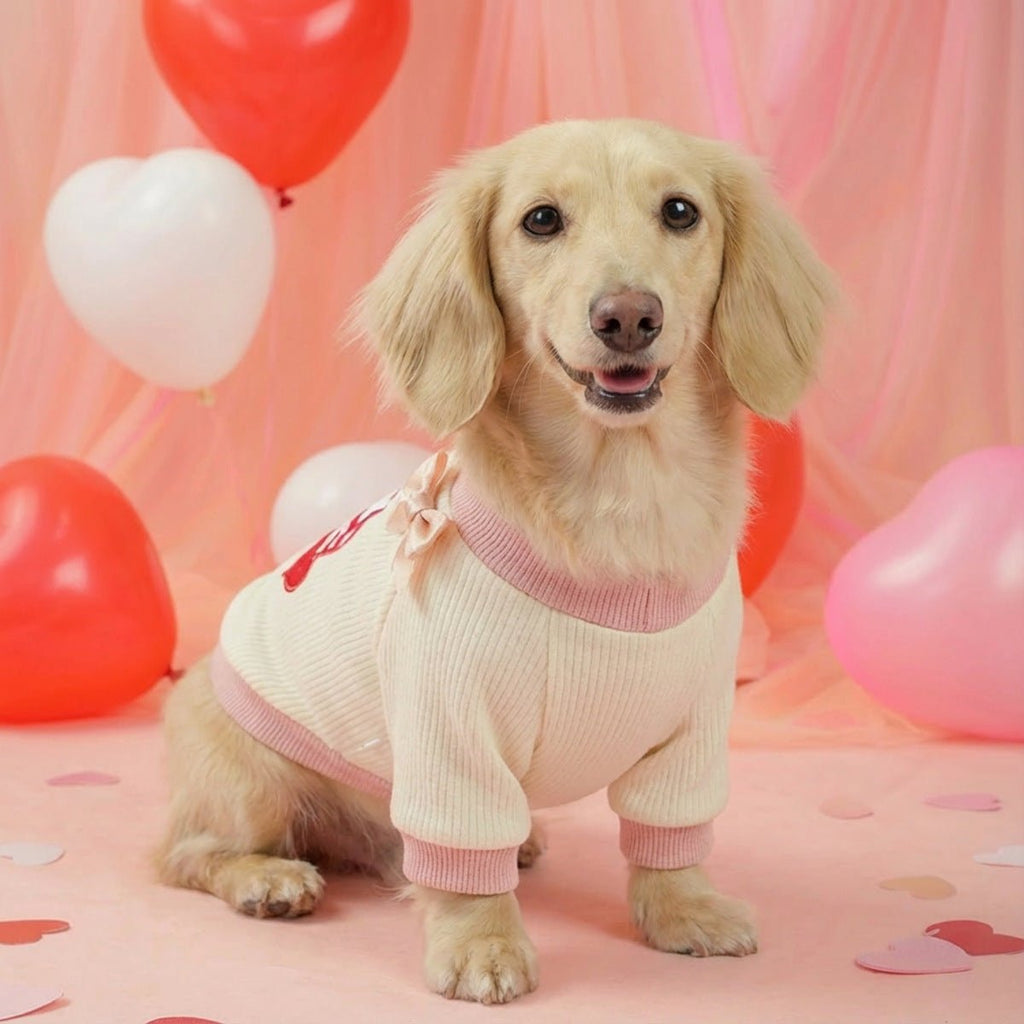 Cream pet crew-neck T-shirt with pink ribbed trim, bow accents, envelope heart print