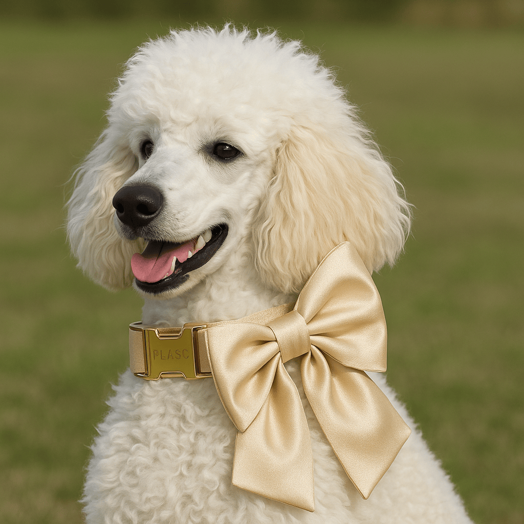 {{product_title}} - Cookies Wagging Friends Boutique