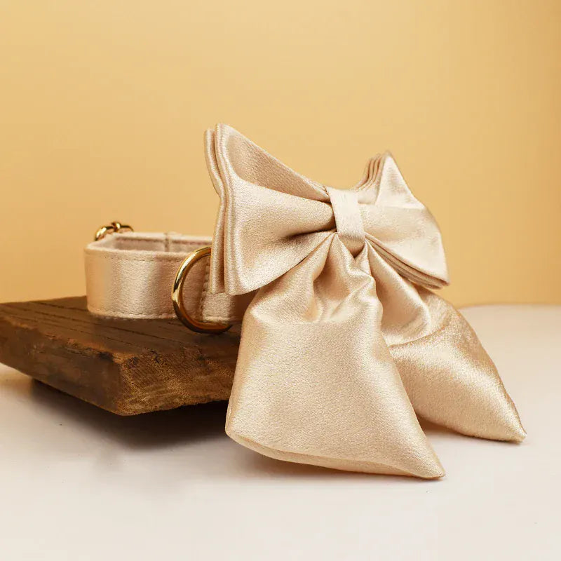 {{product_title}} - Cookies Wagging Friends Boutique