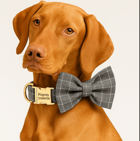 {{product_title}} - Cookies Wagging Friends Boutique