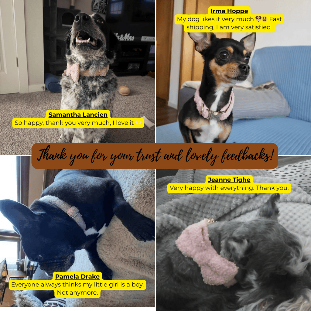{{product_title}} - Cookies Wagging Friends Boutique