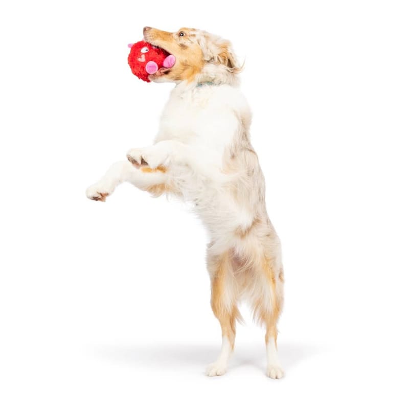 {{product_title}} - Cookies Wagging Friends Boutique